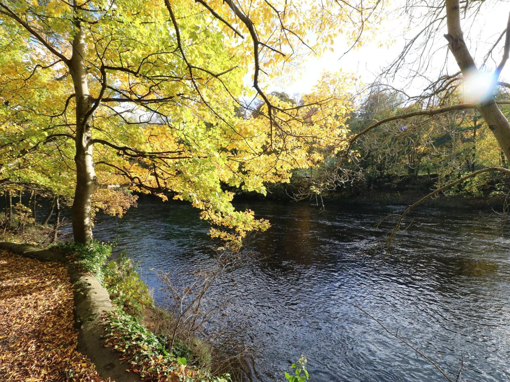 King'S Cottage Crakehall 외부 사진